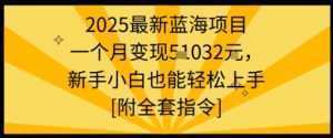 2025最新蓝海项目一个月变现1w+新手小白也能轻松上手【附全套指令】-泱泱学习社