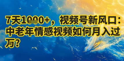 7天收益1k+，视频号新风口：中老年情感视频如何月入过W?-泱泱学习社