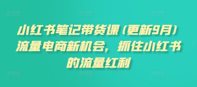 小红书笔记带货课(更新25年9月)流量电商新机会，抓住小红书的流量红利-泱泱学习社