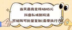 当天最高变现1k+，抖音私域新玩法，可矩阵可批量复制-泱泱学习社