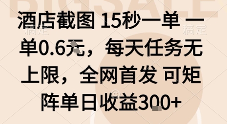酒店截图15秒一单，一单0.6米，每天任务无上限，全网首发可矩阵单日收益3张【揭秘】-泱泱学习社