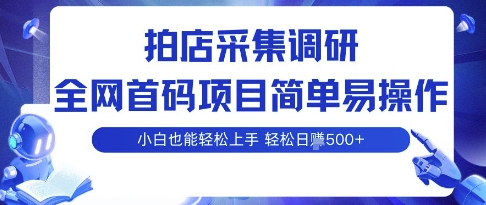 拍店采集调研，全网首码项目，简单易操作， 小白也能轻松上手，多账号操作，轻松日入5张【揭秘】-泱泱学习社