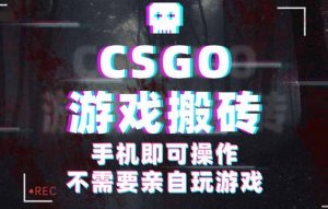 CSGO游戏挂机捡漏，单日扫货500+，年底小高峰上车可吃肉，手机即可操作...-泱泱学习社