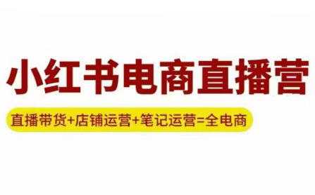 申铭老师·小红书电商直播营(更新)-泱泱学习社