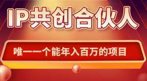 如何通过IP共创合伙人一起合伙“卖项目”-泱泱学习社