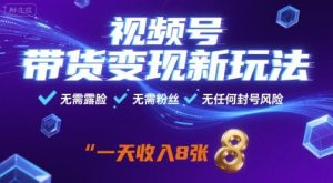 视频号带货变现新玩法，无需露脸，无需粉丝，无任何封号风险，一天收益8张【揭秘】-泱泱学习社