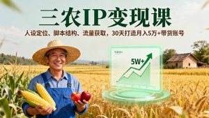 三农IP变现课，人设定位、脚本结构、流量获取，30天打造月入5万+带货账号-泱泱学习社