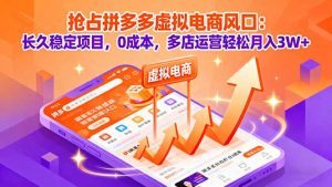 抢占拼多多虚拟电商风口：长久稳定项目，0成本，多店运营轻松月入3W+-泱泱学习社