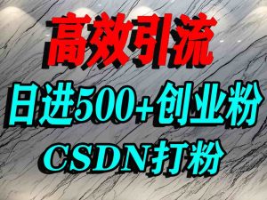 怎么打创业粉？CSDN又一个你不知道的打粉引流神秘平台，单人日引500+精准流量-泱泱学习社