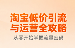 淘宝低价引流与运营全攻略(更新9月)-泱泱学习社