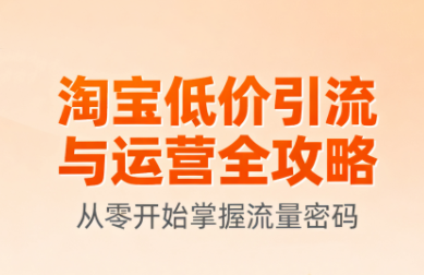 淘宝低价引流与运营全攻略(更新9月)-泱泱学习社