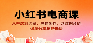小红书电商课：从开店到选品、笔记创作，含数据分析，爆单分享与新玩法-泱泱学习社