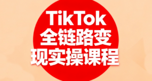 小杨老师·TikTok全链路变现实操课程-泱泱学习社