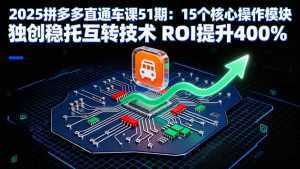 2025拼多多直通车课51期：15个核心操作模块 独创稳托互转技术 ROI提升400%-泱泱学习社