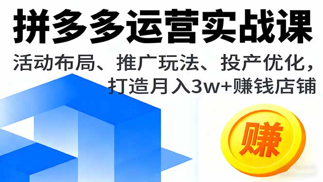拼多多运营实战课，活动布局、推广玩法、投产优化，打造月入3w+赚钱店铺-泱泱学习社