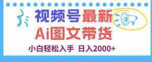 视频号最新AI图文带货，每天几分钟，小白轻松入手，日入2000+-泱泱学习社
