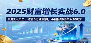 2025财富增长实战6.0，聚焦7大风口，结合6行业案例，小团队轻松年入200万！-泱泱学习社