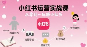 小红书运营实战课，从零到一玩賺小红书-泱泱学习社