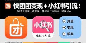 快团团变现+小红书引流：解决没流量、难变现、缺帮卖三大痛点 实现月入3w+-泱泱学习社