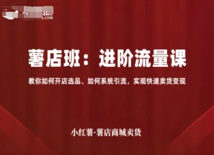 小红薯薯店商城卖货，进阶流量课，教你如何开店选品、如何系统引流，实现快速卖货变现-泱泱学习社