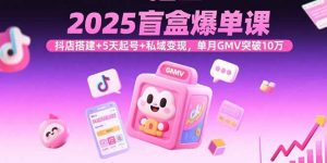 2025盲盒爆单课，抖店搭建+5天起号+私域变现，单月GMV突破10万-泱泱学习社
