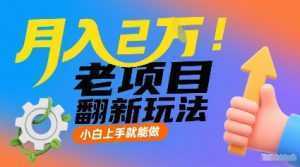 月入2W！老项目翻新玩法，小白上手就能做，非常容易上手-泱泱学习社