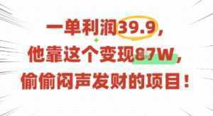 一单利润39.9，有人靠这个变现几十个，偷偷闷声发财的项目-泱泱学习社
