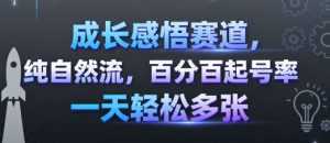 成长感悟赛道，纯自然流，百分百起号率 一天轻松多张-泱泱学习社