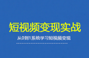 杨磊老师·2025短视频变现实战课-泱泱学习社