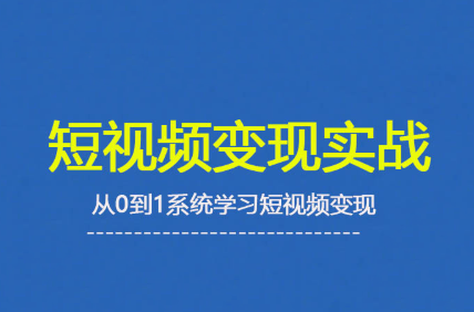 杨磊老师·2025短视频变现实战课-泱泱学习社