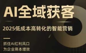AI全域获客实训营，2025低成本高转化的智能营销，精准找客，高效营销-泱泱学习社