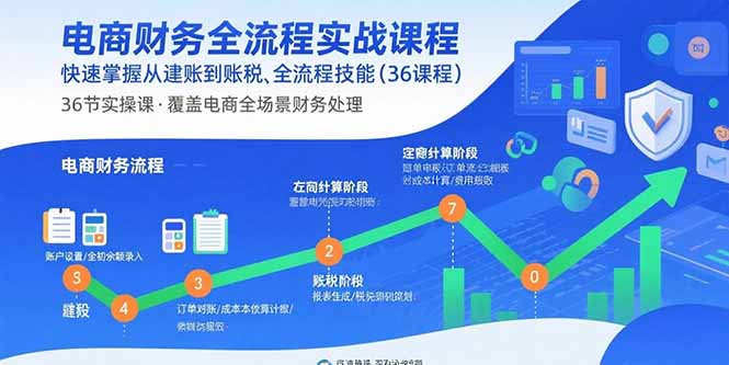 电商财务全流程实战课程：快速掌握从建账到报税的全流程技能(36节课-泱泱学习社