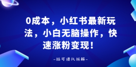0成本，小红书最新玩法，小白无脑操作，快速涨粉变现-泱泱学习社