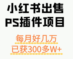 小红书出售PS插件项目，每月都收入好几万，长期操作已获利300多W+-泱泱学习社