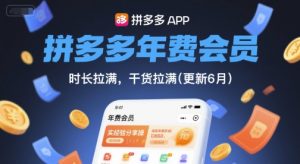 拼多多年费会员,实经验分享操,时长拉满,干货拉满(更新9月)-泱泱学习社