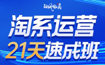 白凤电商·淘系运营21天速成班(更新9月)-泱泱学习社