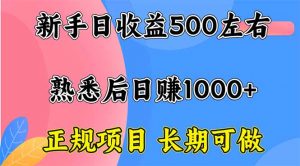 新手日收益500+ 正规项目 长期可做-泱泱学习社