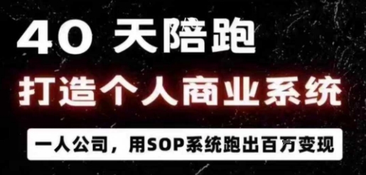 40天陪跑打造个人商业系统，一人公司，用SOP系统跑出百W变现-泱泱学习社