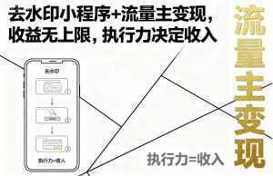 去水印小程序+流量主变现，收益无上限，执行力决定收入-泱泱学习社