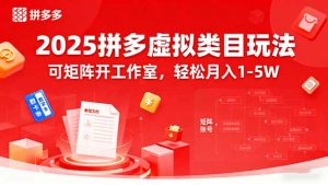 2025拼多多虚拟类目玩法，可矩阵开工作室，轻松月入1-5W-泱泱学习社