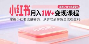 小红书月入1W+变现课程：掌握小红书流量密码，从养号到带货全流程盈利-泱泱学习社