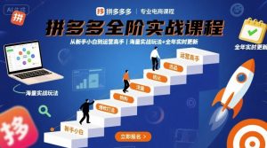 拼多多全阶实战课程，从新手小白到运营高手，海量实战玩法+全年实时更新【2025年9月更新】-泱泱学习社