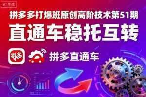 拼多多打爆班原创高阶技术第51期，直通车稳托互转-泱泱学习社