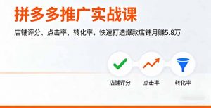 拼多多推广实战课，店铺评分、点击率、转化率，快速打造爆款店铺月赚5.8万-泱泱学习社