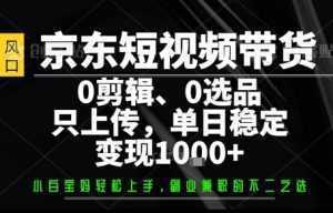 你出账号，我来运营，保底日入1k+，开启躺賺模式【揭秘】-泱泱学习社