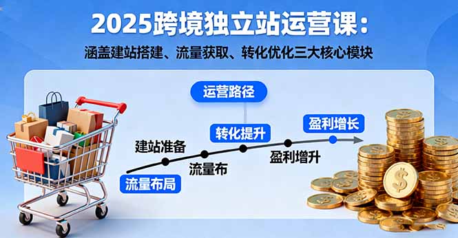 2025跨境独立站运营课：涵盖建站搭建、流量获取、转化优化三大核心模块-泱泱学习社
