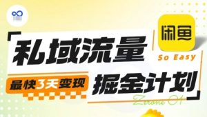 私域流量掘金计划实战训练营，最快3天变现-泱泱学习社