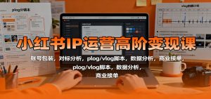小红书IP运营高阶变现课:账号包装,对标分析,plog/vlog脚本,数据分析,商业接单-泱泱学习社