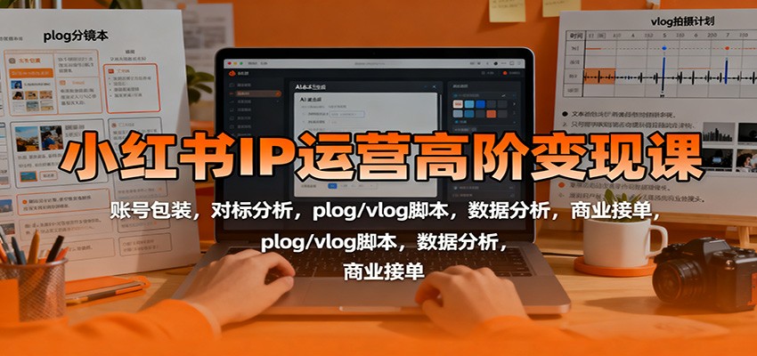 小红书IP运营高阶变现课:账号包装,对标分析,plog/vlog脚本,数据分析,商业接单-泱泱学习社