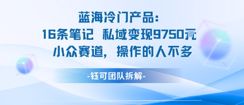 蓝海项目：16条笔记私域变现9750米小众赛道操作的人不多-泱泱学习社